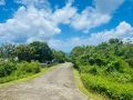 st kitts nevis real estate