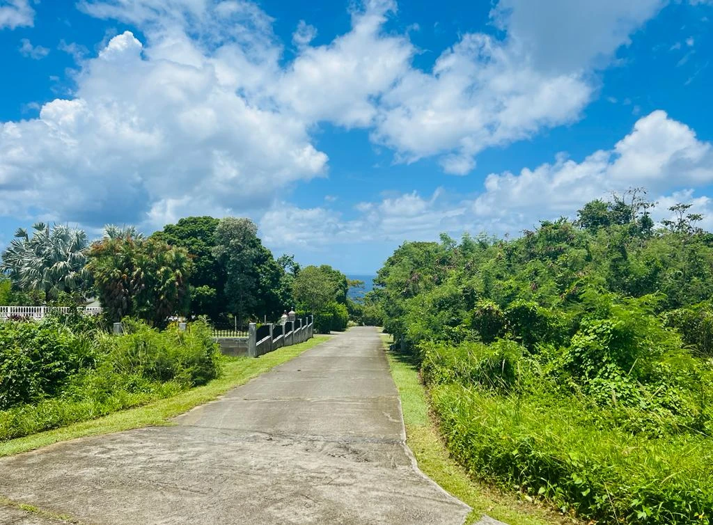 st kitts and nevis houses for sale