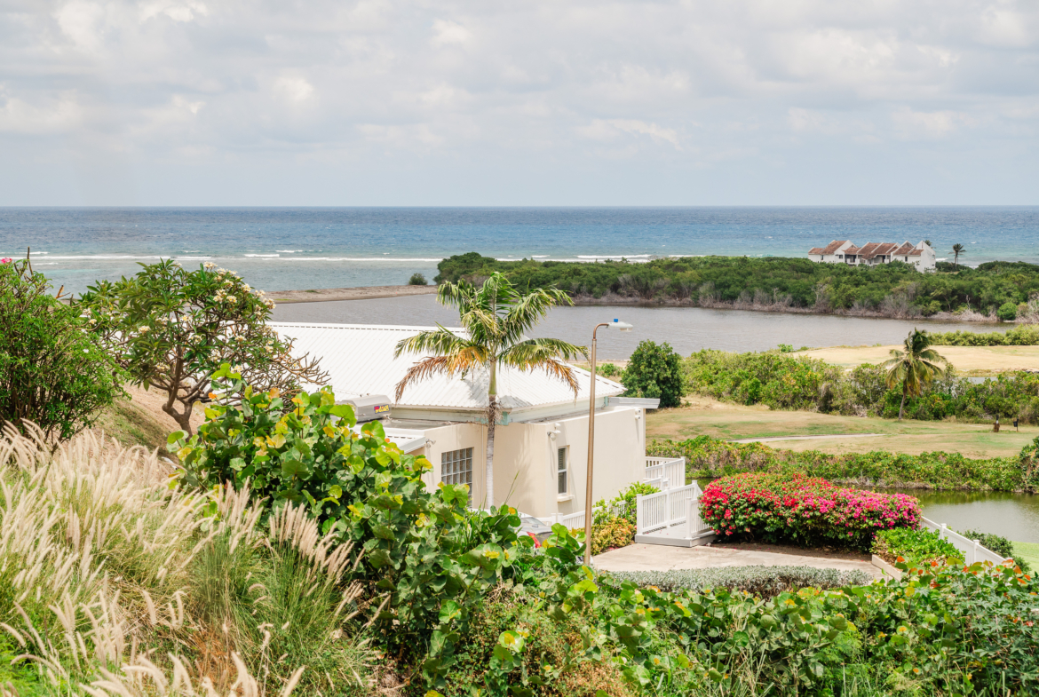 saint kitts real estate for sale