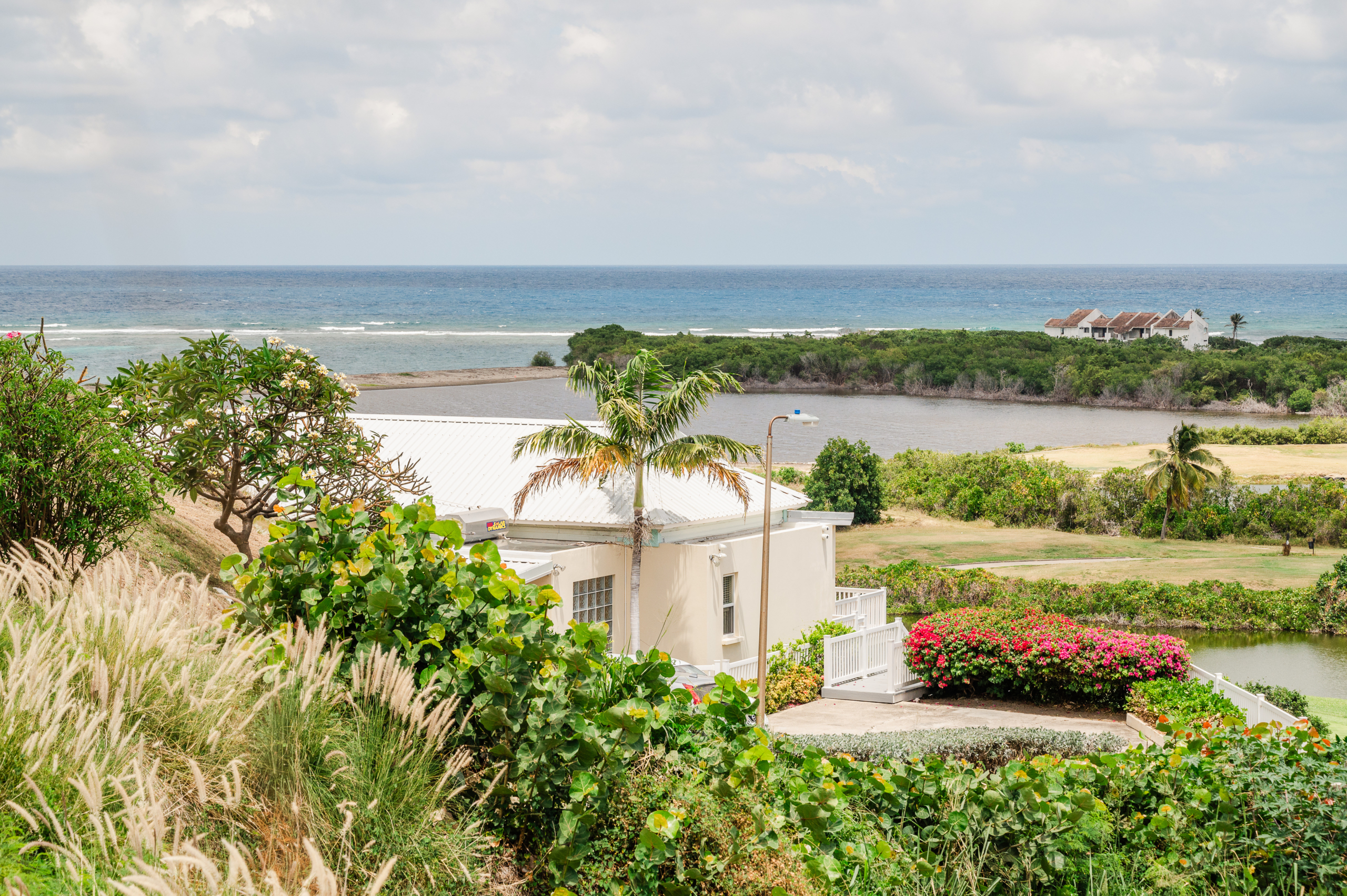 saint kitts real estate for sale